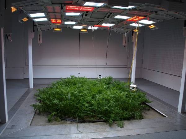 Ecotron with crop